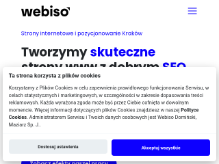 Strony-internetowe-Krakow-Tworzenie-i-projektowanie-www-agencja-interaktywna